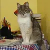 Отзыв от Елизавета Шестакова
